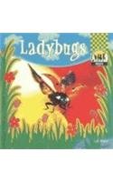 Ladybugs (Insects)