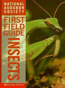 Insects (National Audubon Society First Field Guides)