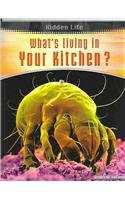 Whats Living In Your Kitchen (Hidden Life)