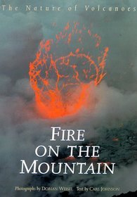 Fire on the Mountain: The Nature of Volcanoes