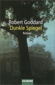 Dunkle Spiegel: Roman