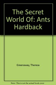 Ants (Secret World of)