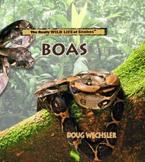 Boas: The Really Wild Life of Boas (Wechsler, Doug. Really Wild Life of Snakes.)