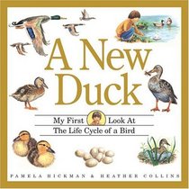 A New Duck: My First Look at the Life Cycle of a Bird (My First Look at Nature)