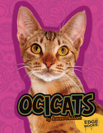 Ocicats (Edge Books: All about Cats)
