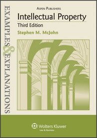 Intellectual Property: Examples & Explanations, Third Edition