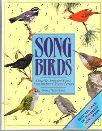 Songbirds: How to Attract Them and Identify Their Songs