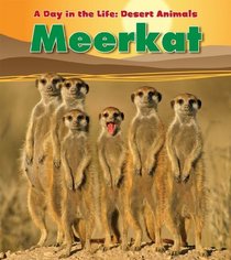 Meerkat (Day in the Life: Desert Animals)