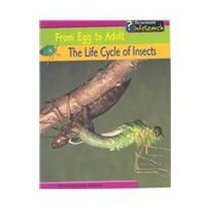 The Life Cycle of Insects (From Egg to Adult)