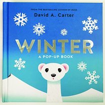 Winter: A Pop-up Book