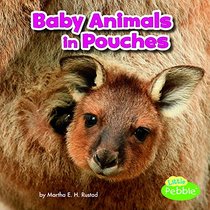 Baby Animals in Pouches (Baby Animals and Their Homes)