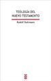 Teologia del Nuevo Testamento (Spanish Edition)