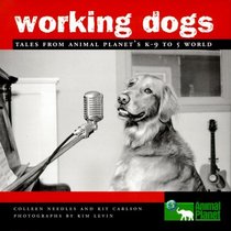 Working Dogs : Tales from Animal Planet's K-9 to 5 World