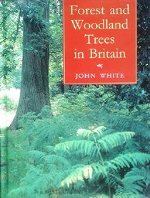Forest and Woodland Trees in Britain