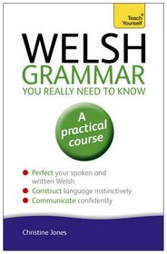 Welsh Grammar You Really Need to Know: A Teach Yourself Guide (Teach Yourself Language)