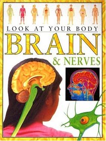 Brain and Nerves (Look at Your Body)