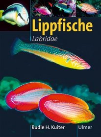 Lippfische - Familie Labridae. Marine Fischfamilien.