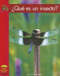 Que es un insecto? (Yellow Umbrella Books (Spanish)) (Spanish Edition)