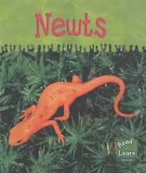 Newts (Read & Learn: Ooey-gooey Animals)
