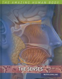 The Senses (The Amazing Human Body)