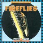 Fireflies (Let's Read About Insects)