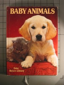 Baby Animals
