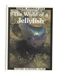 World of a Jellyfish (Where Animals Live)