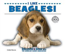 I Like Beagles!