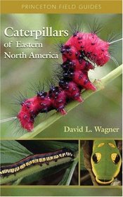 Caterpillars of Eastern North America : A Guide to Identification and Natural History (Princeton Field Guides)