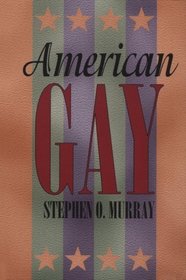 American Gay (Worlds of Desire: The Chicago Series on Sexuality, Gender, and Culture)