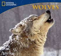 Wolves - 2010 National Geographic Wall Calendar