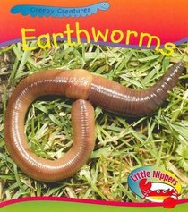 Worm (Little Nippers: Creepy Creatures)
