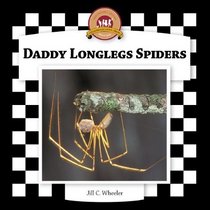 Daddy Longlegs Spiders (Spiders Set II)