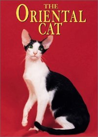 The Oriental Cat (Learning About Cats)