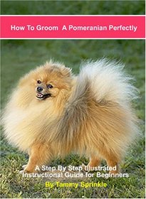 How to Groom a Pomeranian Perfectly: A Step by Step Instructional Guide for Grooming Your Pomeranian