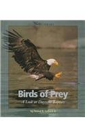 Birds of Prey: A Look at Daytime Raptors (Watts Library)