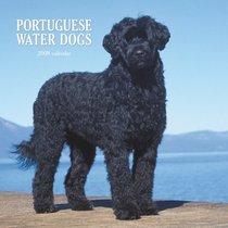 Portuguese Water Dogs 2008 Square Wall Calendar (German, French, Spanish and English Edition)