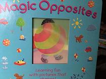Magic Opposites Board Book
