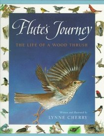 Flute's Journey