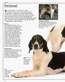 The Ultimate Dog Book