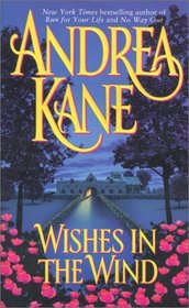 Wishes in the Wind (Kingsley Family, Bk 2)