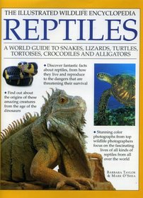 Illustrated Wildlife Encyclopedia: Reptiles (Illustrated Wildlife Encyclopedia)
