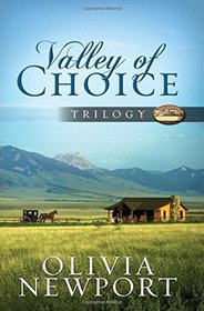 Valley of Choice Trilogy: Accidentally Amish / In Plain View / Taken for English