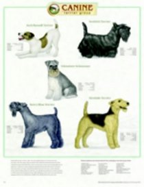 Canine Terrier Group Chart
