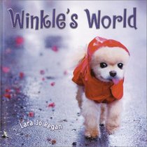Winkle's World (Step Back in Time with Mr. Winkle)