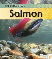 Salmon: 2nd Edition (Life Cycle of a)