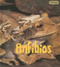 Anfibios/ Amphibians (Crias/ Animal Babies) (Spanish Edition)