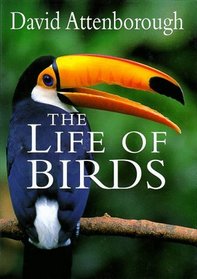 The Life of Birds