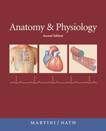 Anatomy & Physiology (2nd Edition)