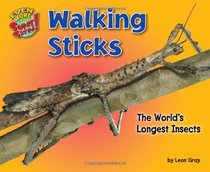 Walking Sticks: The World's Longest Insects (Even More Supersized!)